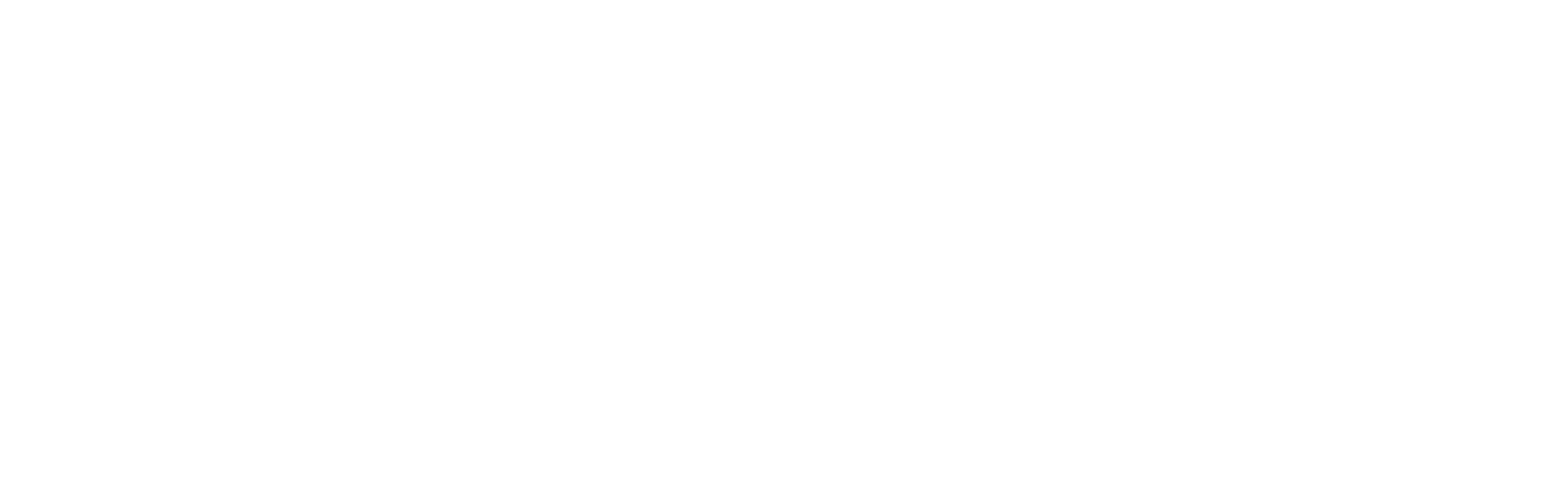 logo htxHoangVy-01